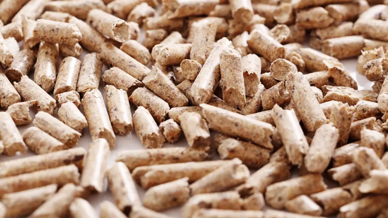 Montón de varios tipos de pellet de madera, pequeños cilindros de material orgánico compactado, listos para ser usados como combustible.