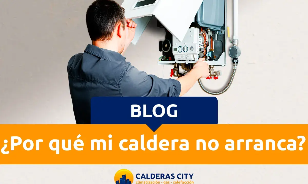 Técnico revisando una caldera Wolf, solucionando problemas comunes. ¿Por qué mi caldera no arranca?