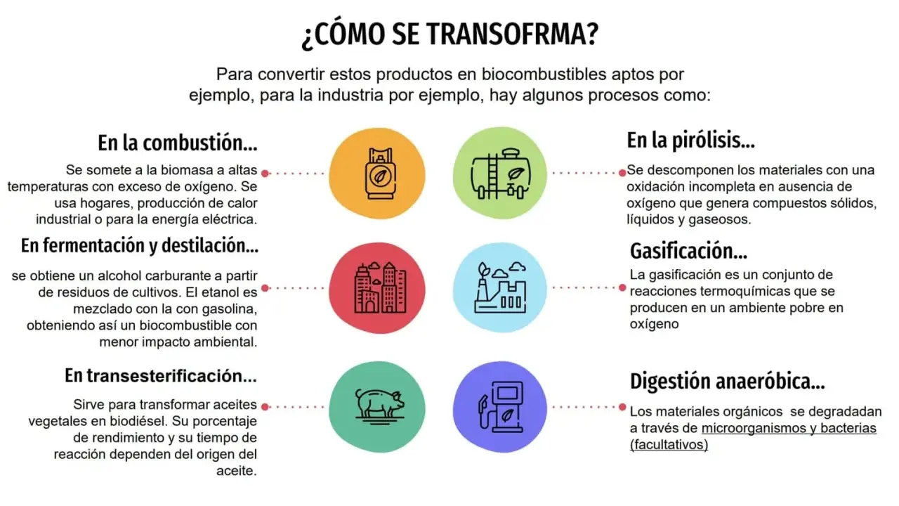 Ilustración de varios tipos de biomasa y sus procesos de transformación: combustión, fermentación, pirólisis, gasificación y digestión anaeróbica.