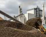 Cargador frontal descarga montón de aceitunas en planta industrial. Humo sale de la caldera.