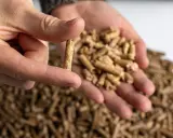 Un dedo sostiene un pellet, mostrando de qué está hecho el pellet: biomasa compactada. En la mano hay más pellets.