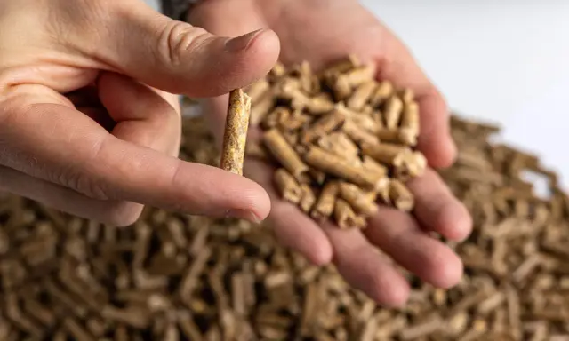 Un dedo sostiene un pellet, mostrando de qué está hecho el pellet: biomasa compactada. En la mano hay más pellets.