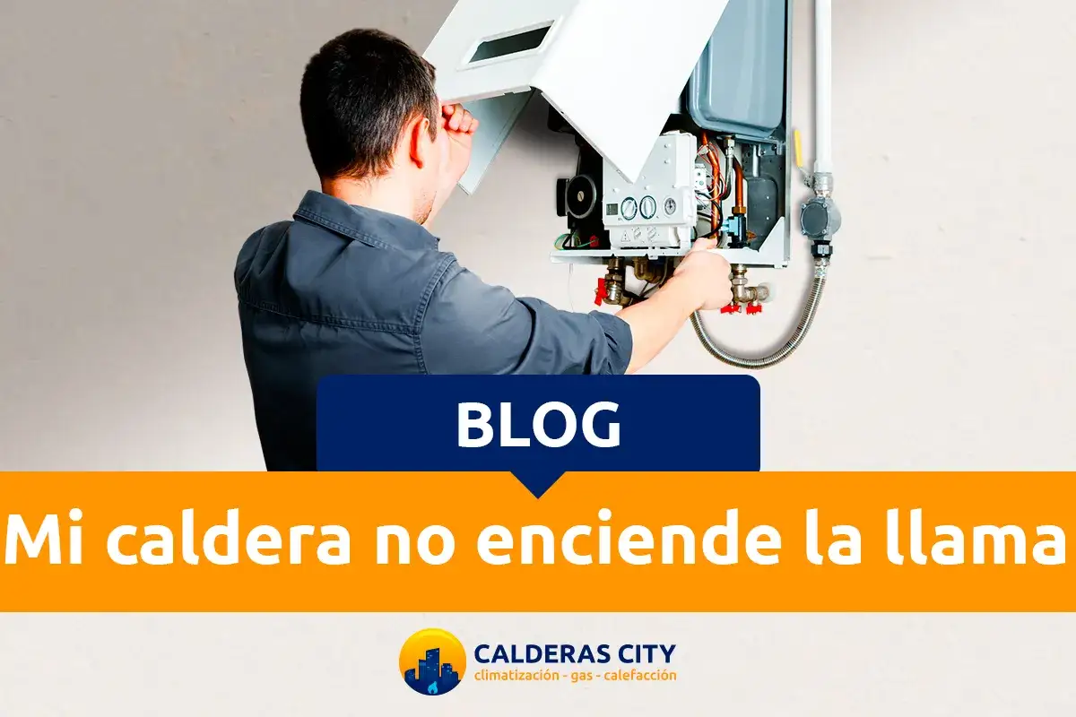 Técnico revisa una caldera que no enciende la llama. Soluciones para tu problema.